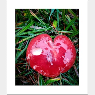 Red Mushroom Heart Posters and Art